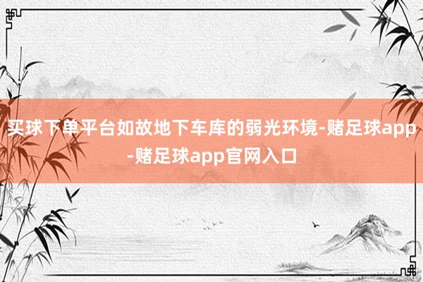 买球下单平台如故地下车库的弱光环境-赌足球app-赌足球app官网入口