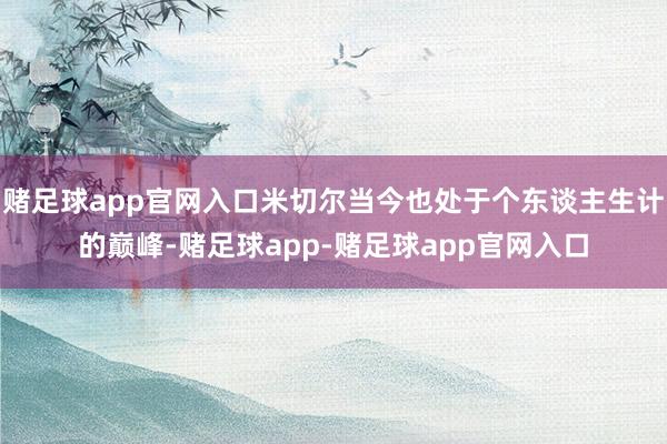 赌足球app官网入口米切尔当今也处于个东谈主生计的巅峰-赌足球app-赌足球app官网入口