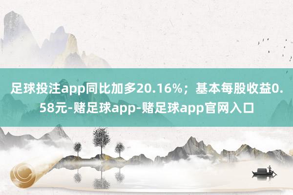 足球投注app同比加多20.16%；基本每股收益0.58元-赌足球app-赌足球app官网入口