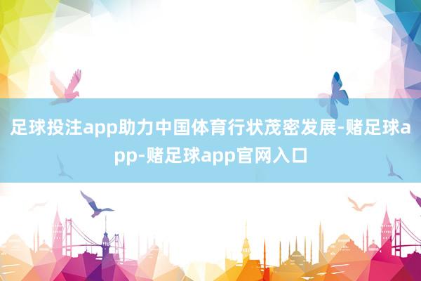 足球投注app助力中国体育行状茂密发展-赌足球app-赌足球app官网入口