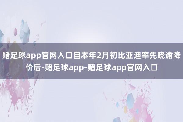 赌足球app官网入口自本年2月初比亚迪率先晓谕降价后-赌足球app-赌足球app官网入口