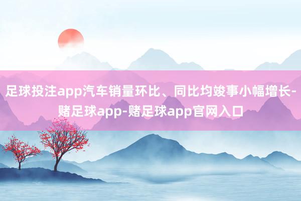 足球投注app汽车销量环比、同比均竣事小幅增长-赌足球app-赌足球app官网入口