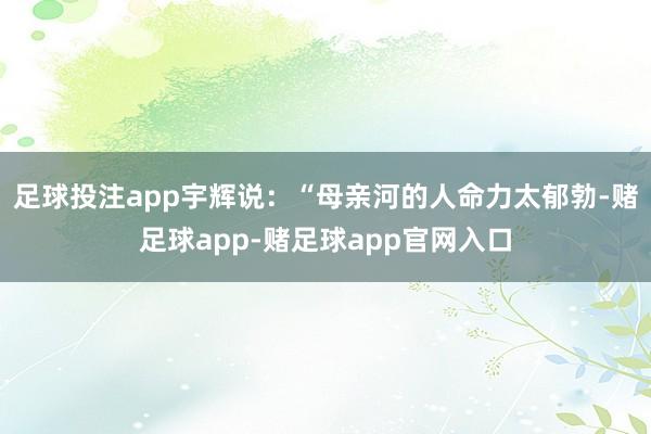 足球投注app宇辉说：“母亲河的人命力太郁勃-赌足球app-赌足球app官网入口