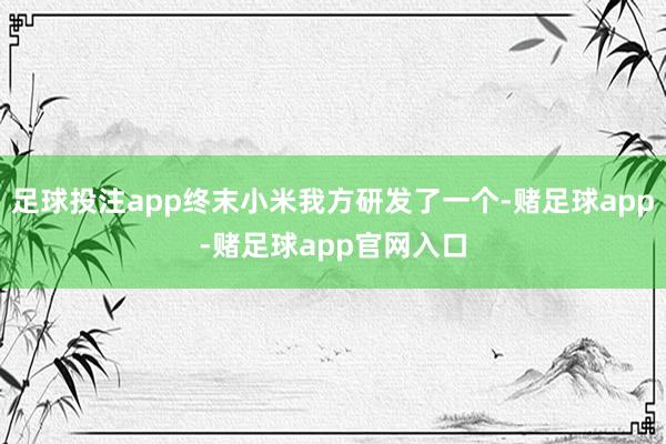 足球投注app终末小米我方研发了一个-赌足球app-赌足球app官网入口