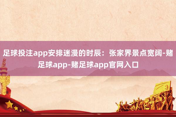 足球投注app安排迷漫的时辰：张家界景点宽阔-赌足球app-赌足球app官网入口