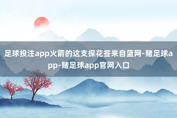 足球投注app火箭的这支探花签来自篮网-赌足球app-赌足球app官网入口