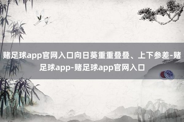 赌足球app官网入口向日葵重重叠叠、上下参差-赌足球app-赌足球app官网入口