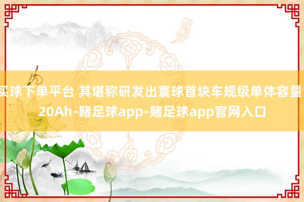 买球下单平台 其堪称研发出寰球首块车规级单体容量120Ah-赌足球app-赌足球app官网入口