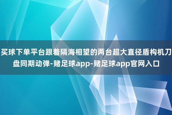 买球下单平台跟着隔海相望的两台超大直径盾构机刀盘同期动弹-赌足球app-赌足球app官网入口