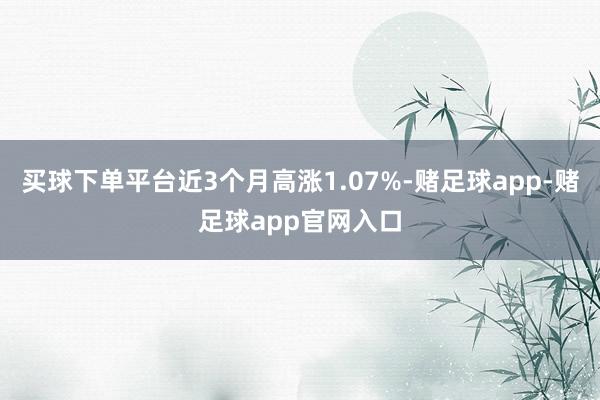 买球下单平台近3个月高涨1.07%-赌足球app-赌足球app官网入口