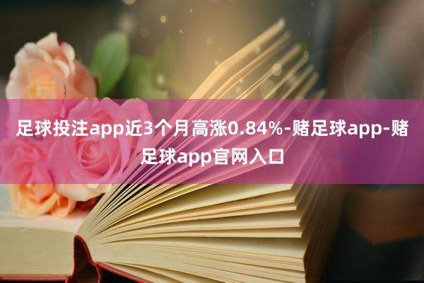 足球投注app近3个月高涨0.84%-赌足球app-赌足球app官网入口