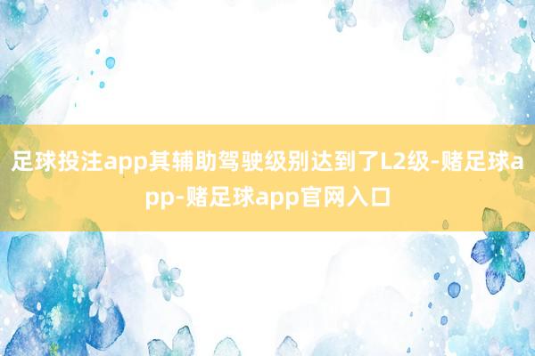 足球投注app其辅助驾驶级别达到了L2级-赌足球app-赌足球app官网入口