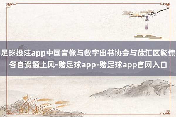 足球投注app中国音像与数字出书协会与徐汇区聚焦各自资源上风-赌足球app-赌足球app官网入口