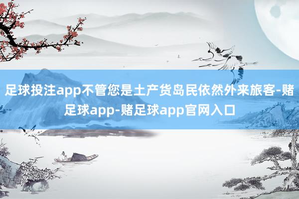 足球投注app不管您是土产货岛民依然外来旅客-赌足球app-赌足球app官网入口