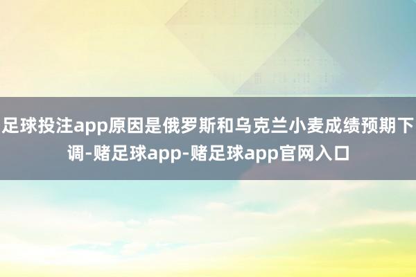 足球投注app原因是俄罗斯和乌克兰小麦成绩预期下调-赌足球app-赌足球app官网入口