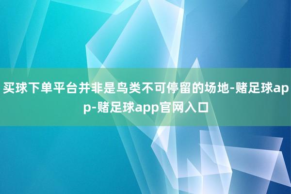 买球下单平台并非是鸟类不可停留的场地-赌足球app-赌足球app官网入口