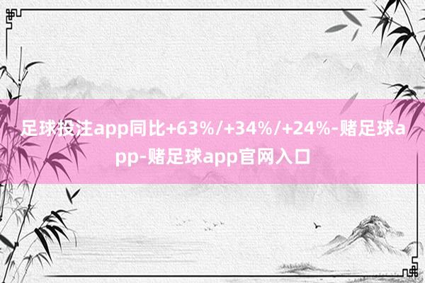 足球投注app同比+63%/+34%/+24%-赌足球app-赌足球app官网入口