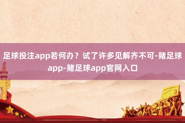 足球投注app若何办？试了许多见解齐不可-赌足球app-赌足球app官网入口