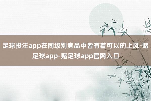 足球投注app在同级别竞品中皆有着可以的上风-赌足球app-赌足球app官网入口