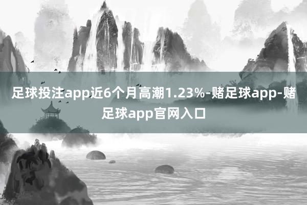 足球投注app近6个月高潮1.23%-赌足球app-赌足球app官网入口