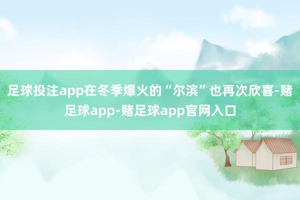 足球投注app在冬季爆火的“尔滨”也再次欣喜-赌足球app-赌足球app官网入口