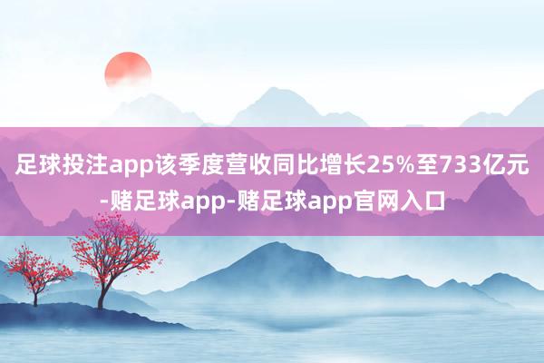 足球投注app该季度营收同比增长25%至733亿元-赌足球app-赌足球app官网入口