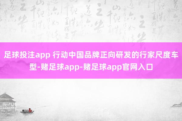 足球投注app 行动中国品牌正向研发的行家尺度车型-赌足球app-赌足球app官网入口