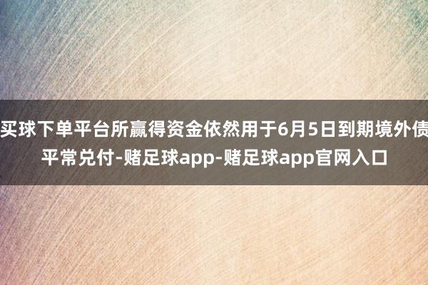 买球下单平台所赢得资金依然用于6月5日到期境外债平常兑付-赌足球app-赌足球app官网入口