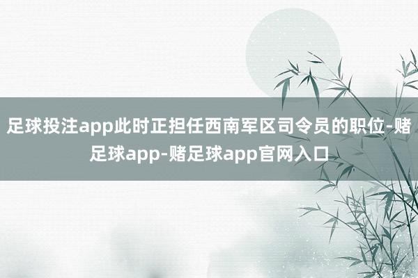 足球投注app此时正担任西南军区司令员的职位-赌足球app-赌足球app官网入口