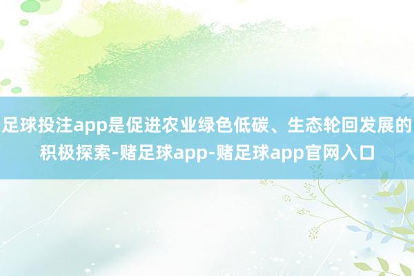 足球投注app是促进农业绿色低碳、生态轮回发展的积极探索-赌足球app-赌足球app官网入口