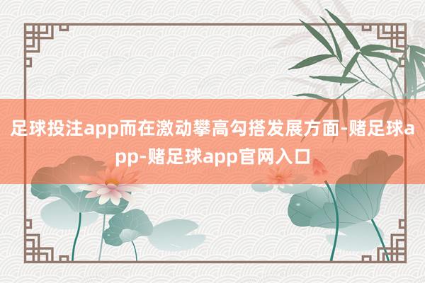 足球投注app而在激动攀高勾搭发展方面-赌足球app-赌足球app官网入口