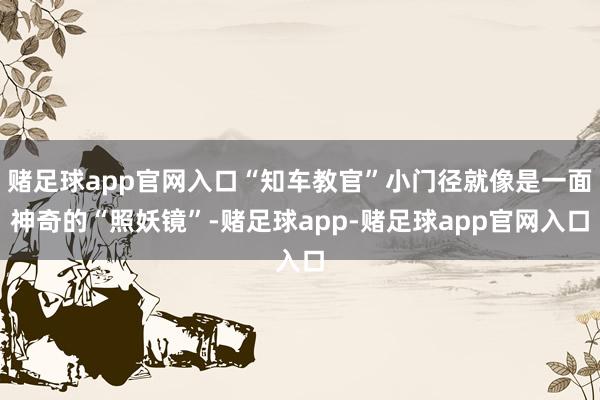 赌足球app官网入口“知车教官”小门径就像是一面神奇的“照妖镜”-赌足球app-赌足球app官网入口