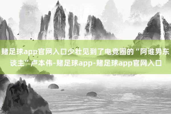 赌足球app官网入口少壮见到了电竞圈的“阿谁男东谈主”卢本伟-赌足球app-赌足球app官网入口