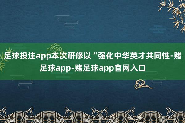 足球投注app本次研修以“强化中华英才共同性-赌足球app-赌足球app官网入口