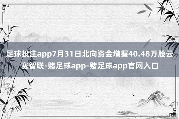 足球投注app7月31日北向资金增握40.48万股云赛智联-赌足球app-赌足球app官网入口