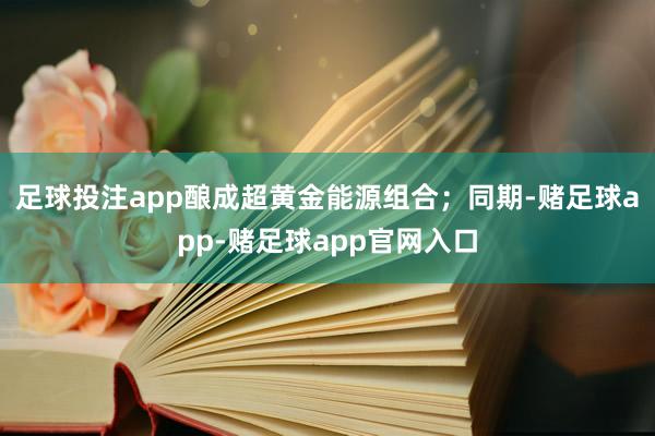 足球投注app酿成超黄金能源组合；同期-赌足球app-赌足球app官网入口