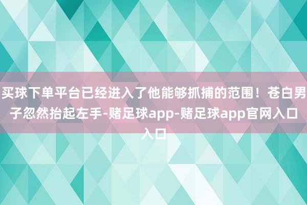 买球下单平台已经进入了他能够抓捕的范围！苍白男子忽然抬起左手-赌足球app-赌足球app官网入口