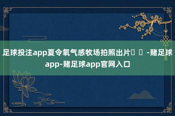 足球投注app夏令氧气感牧场拍照出片☁️-赌足球app-赌足球app官网入口