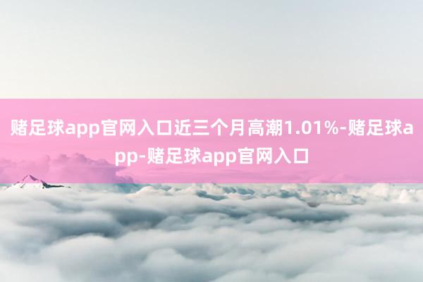 赌足球app官网入口近三个月高潮1.01%-赌足球app-赌足球app官网入口