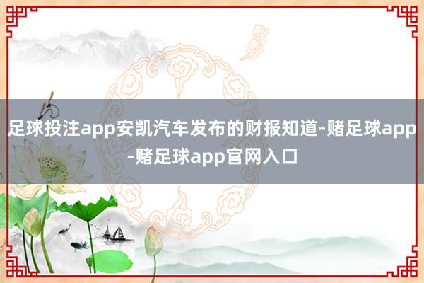 足球投注app安凯汽车发布的财报知道-赌足球app-赌足球app官网入口