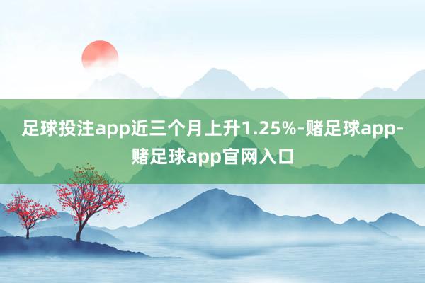 足球投注app近三个月上升1.25%-赌足球app-赌足球app官网入口