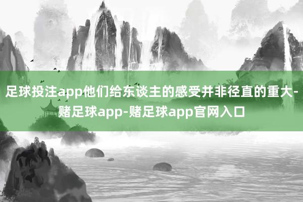 足球投注app他们给东谈主的感受并非径直的重大-赌足球app-赌足球app官网入口