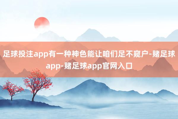 足球投注app有一种神色能让咱们足不窥户-赌足球app-赌足球app官网入口