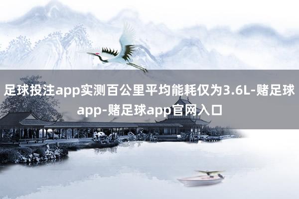 足球投注app实测百公里平均能耗仅为3.6L-赌足球app-赌足球app官网入口