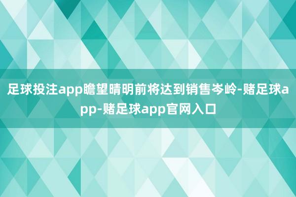 足球投注app瞻望晴明前将达到销售岑岭-赌足球app-赌足球app官网入口