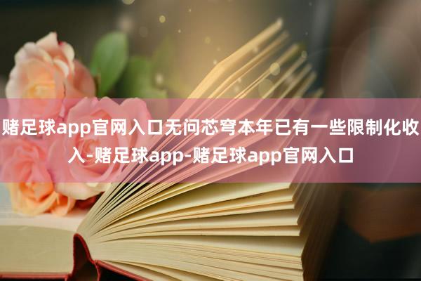 赌足球app官网入口无问芯穹本年已有一些限制化收入-赌足球app-赌足球app官网入口