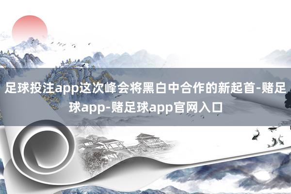 足球投注app这次峰会将黑白中合作的新起首-赌足球app-赌足球app官网入口