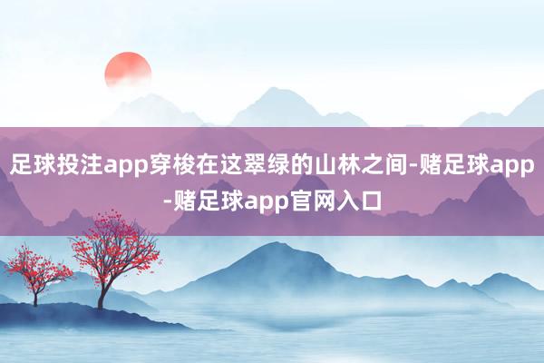 足球投注app穿梭在这翠绿的山林之间-赌足球app-赌足球app官网入口