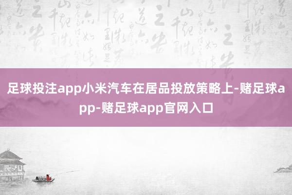 足球投注app小米汽车　　在居品投放策略上-赌足球app-赌足球app官网入口