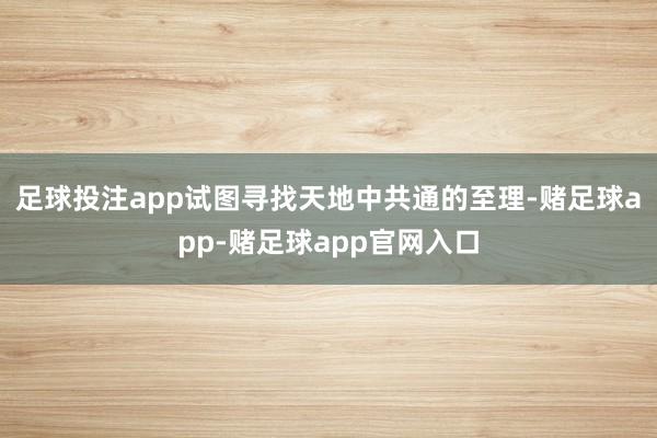 足球投注app试图寻找天地中共通的至理-赌足球app-赌足球app官网入口